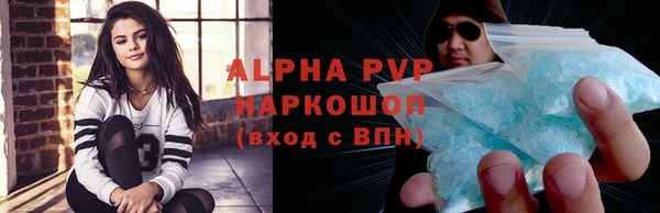 сатива Аркадак