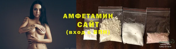 индика Коряжма