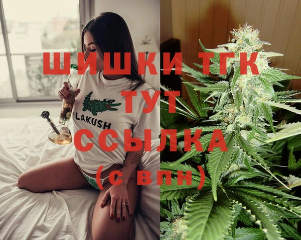 сатива Аркадак