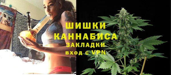 сатива Аркадак
