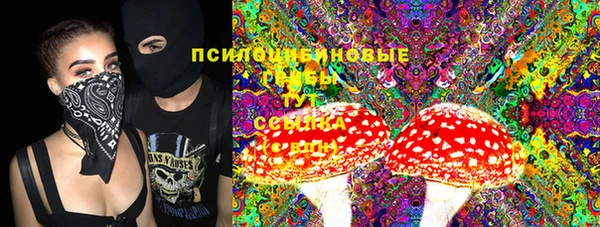 сатива Аркадак