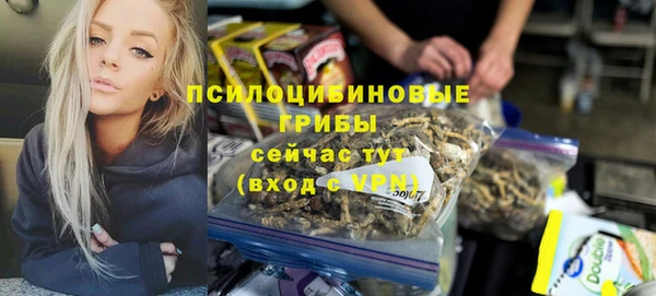 сатива Аркадак