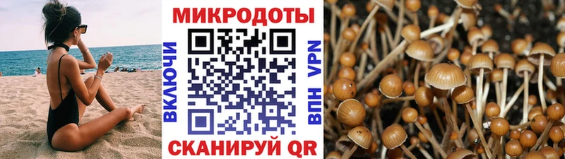 Псилоцибиновые грибы ЛСД  Боготол 